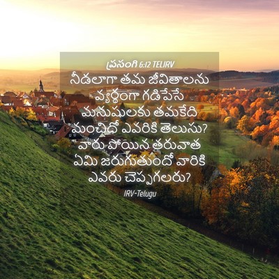 Picture 04 - ప్రసంగి 6:12 TELIRV - నీడలాగా తమ - Bible Verse Picture