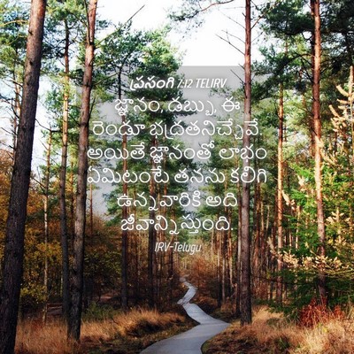 Picture 04 - ప్రసంగి 7:12 TELIRV - జ్ఞానం, డబ్బు, ఈ - Bible Verse Picture