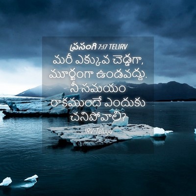 Picture 04 - ప్రసంగి 7:17 TELIRV - మరీ ఎక్కువ - Bible Verse Picture