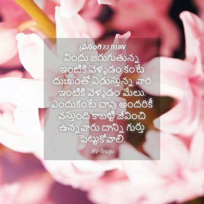 Picture 04 - ప్రసంగి 7:2 TELIRV - విందు జరుగుతున్న - Bible Verse Picture