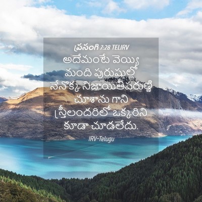 Picture 04 - ప్రసంగి 7:28 TELIRV - అదేమంటే వెయ్యి - Bible Verse Picture
