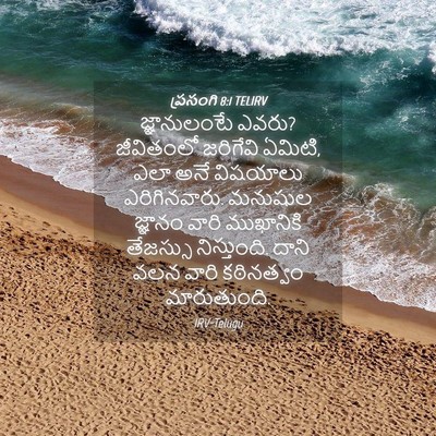 Picture 04 - ప్రసంగి 8:1 TELIRV - జ్ఞానులంటే ఎవరు? - Bible Verse Picture