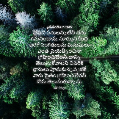 Picture 04 - ప్రసంగి 8:17 TELIRV - దేవుని - Bible Verse Picture