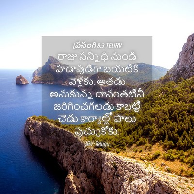 Picture 04 - ప్రసంగి 8:3 TELIRV - రాజు సన్నిధి - Bible Verse Picture