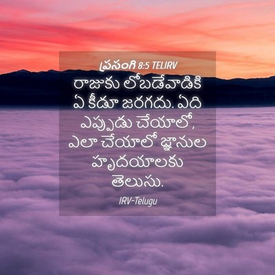 Picture 04 - ప్రసంగి 8:5 TELIRV - రాజుకు - Bible Verse Picture