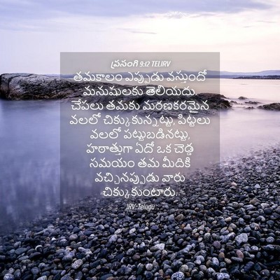 Picture 04 - ప్రసంగి 9:12 TELIRV - తమకాలం ఎప్పుడు - Bible Verse Picture