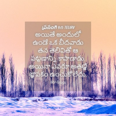 Picture 04 - ప్రసంగి 9:15 TELIRV - అయితే అందులో ఉండే - Bible Verse Picture