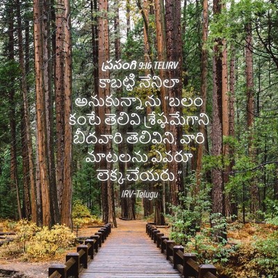 Picture 04 - ప్రసంగి 9:16 TELIRV - కాబట్టి నేనిలా - Bible Verse Picture