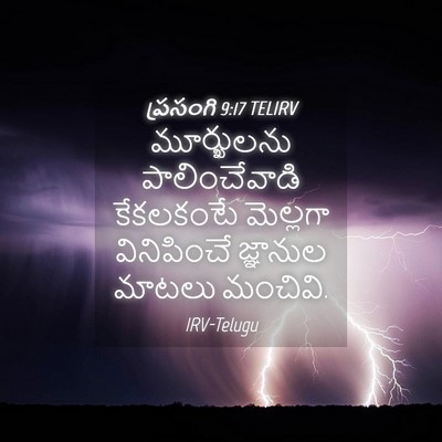Picture 04 - ప్రసంగి 9:17 TELIRV - మూర్ఖులను - Bible Verse Picture