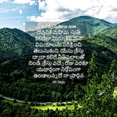 Picture 04 - ఫిలిప్పీ పత్రిక 1:10 TELIRV - దేవునికి మహిమ, - Bible Verse Picture