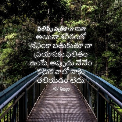 Picture 04 - ఫిలిప్పీ పత్రిక 1:22 TELIRV - అయినా శరీరంలో - Bible Verse Picture