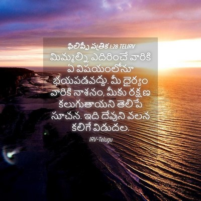 Picture 04 - ఫిలిప్పీ పత్రిక 1:28 TELIRV - మిమ్మల్ని - Bible Verse Picture