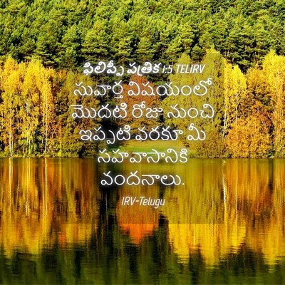 Picture 04 - ఫిలిప్పీ పత్రిక 1:5 TELIRV - సువార్త విషయంలో - Bible Verse Picture