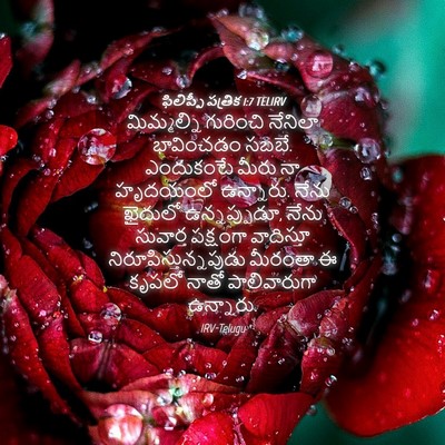 Picture 04 - ఫిలిప్పీ పత్రిక 1:7 TELIRV - మిమ్మల్ని గురించి - Bible Verse Picture