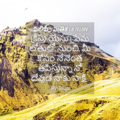 Picture 04 - ఫిలిప్పీ పత్రిక 1:8 TELIRV - క్రీస్తు యేసు - Bible Verse Picture