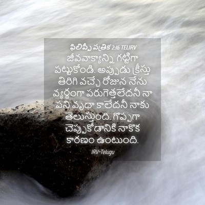 Picture 04 - ఫిలిప్పీ పత్రిక 2:16 TELIRV - జీవవాక్యాన్ని - Bible Verse Picture