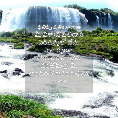 Picture 04 - ఫిలిప్పీ పత్రిక 2:17 TELIRV - మీ విశ్వాస బలిదాన - Bible Verse Picture
