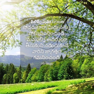 Picture 04 - ఫిలిప్పీ పత్రిక 3:17 TELIRV - సోదరులారా, మీరు - Bible Verse Picture