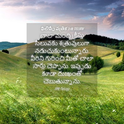 Picture 04 - ఫిలిప్పీ పత్రిక 3:18 TELIRV - చాలా మంది - Bible Verse Picture