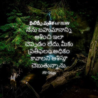 Picture 04 - ఫిలిప్పీ పత్రిక 4:17 TELIRV - నేను బహుమానాన్ని - Bible Verse Picture
