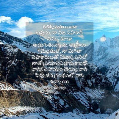 Picture 04 - ఫిలిప్పీ పత్రిక 4:3 TELIRV - అవును, నా నిజ - Bible Verse Picture