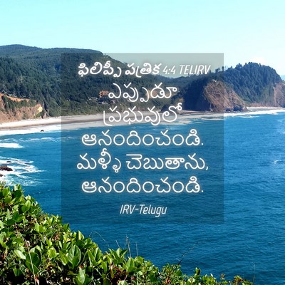 Picture 04 - ఫిలిప్పీ పత్రిక 4:4 TELIRV - ఎప్పుడూ ప్రభువులో - Bible Verse Picture