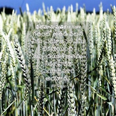 Picture 04 - ఫిలేమోను పత్రిక 1:11 TELIRV - గతంలో అతడి వలన - Bible Verse Picture