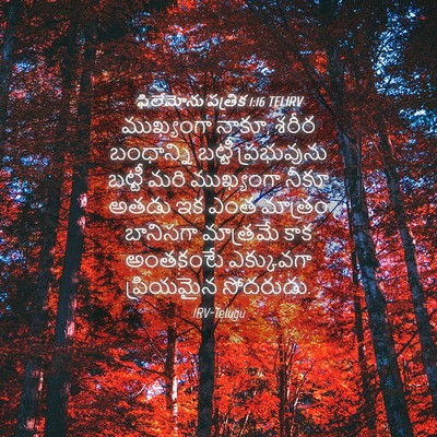 Picture 04 - ఫిలేమోను పత్రిక 1:16 TELIRV - ముఖ్యంగా నాకూ, - Bible Verse Picture