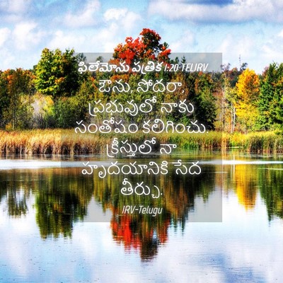 Picture 04 - ఫిలేమోను పత్రిక 1:20 TELIRV - ఔను, సోదరా, - Bible Verse Picture