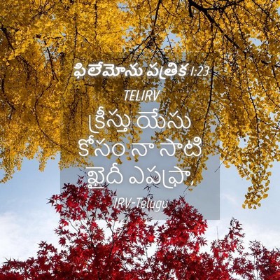 Picture 04 - ఫిలేమోను పత్రిక 1:23 TELIRV - క్రీస్తు యేసు - Bible Verse Picture