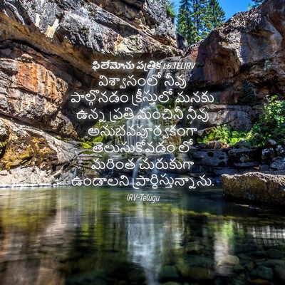Picture 04 - ఫిలేమోను పత్రిక 1:6 TELIRV - విశ్వాసంలో నీవు - Bible Verse Picture