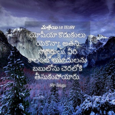 Picture 04 - మత్తయి 1:11 TELIRV - యోషీయా కొడుకులు - Bible Verse Picture