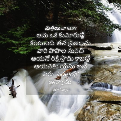 Picture 04 - మత్తయి 1:21 TELIRV - ఆమె ఒక కుమారుణ్ణి - Bible Verse Picture