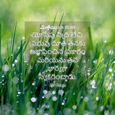 Picture 04 - మత్తయి 1:24 TELIRV - యోసేపు నిద్ర లేచి, - Bible Verse Picture