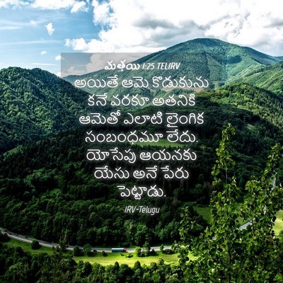 Picture 04 - మత్తయి 1:25 TELIRV - అయితే ఆమె - Bible Verse Picture
