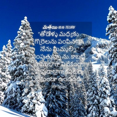 Picture 04 - మత్తయి 10:16 TELIRV - “తోడేళ్ళ మధ్యకు - Bible Verse Picture