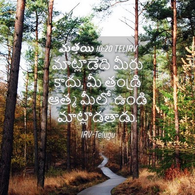 Picture 04 - మత్తయి 10:20 TELIRV - మాట్లాడేది మీరు - Bible Verse Picture