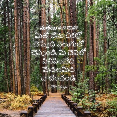 Picture 04 - మత్తయి 10:27 TELIRV - మీతో నేను చీకట్లో - Bible Verse Picture