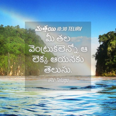Picture 04 - మత్తయి 10:30 TELIRV - మీ తల - Bible Verse Picture