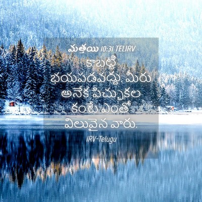 Picture 04 - మత్తయి 10:31 TELIRV - కాబట్టి - Bible Verse Picture