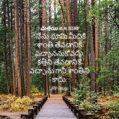 Picture 04 - మత్తయి 10:34 TELIRV - “నేను భూమి మీదికి - Bible Verse Picture