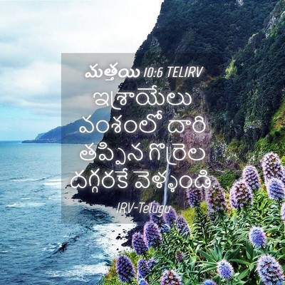 Picture 04 - మత్తయి 10:6 TELIRV - ఇశ్రాయేలు వంశంలో - Bible Verse Picture