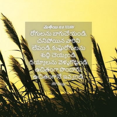 Picture 04 - మత్తయి 10:8 TELIRV - రోగులను - Bible Verse Picture