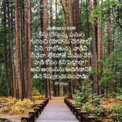 Picture 04 - మత్తయి 11:3 TELIRV - క్రీస్తు - Bible Verse Picture