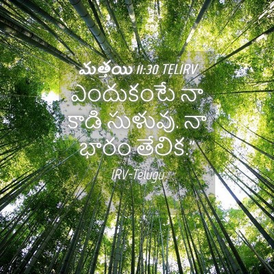 Picture 04 - మత్తయి 11:30 TELIRV - ఎందుకంటే నా కాడి - Bible Verse Picture