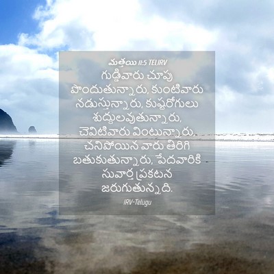 Picture 04 - మత్తయి 11:5 TELIRV - గుడ్డివారు చూపు - Bible Verse Picture