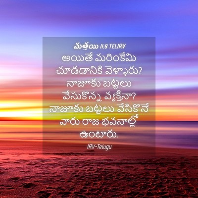 Picture 04 - మత్తయి 11:8 TELIRV - అయితే మరింకేమి - Bible Verse Picture
