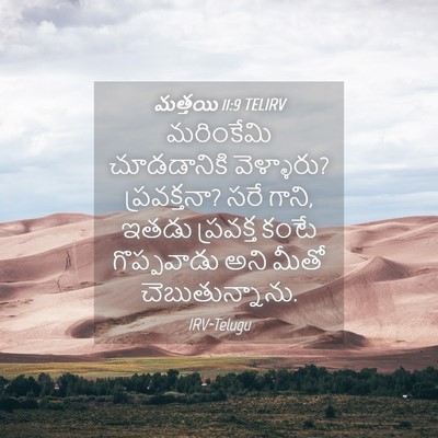 Picture 04 - మత్తయి 11:9 TELIRV - మరింకేమి - Bible Verse Picture