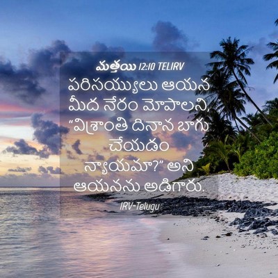 Picture 04 - మత్తయి 12:10 TELIRV - పరిసయ్యులు ఆయన - Bible Verse Picture