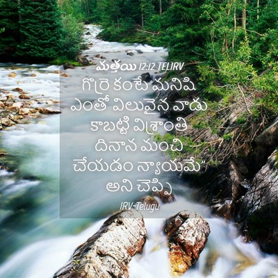 Picture 04 - మత్తయి 12:12 TELIRV - గొర్రె కంటే మనిషి - Bible Verse Picture
